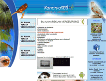 Tablet Screenshot of kanaryasesi.com